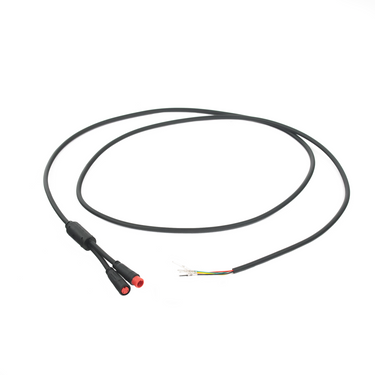 Main Connector for the Warrior and the King